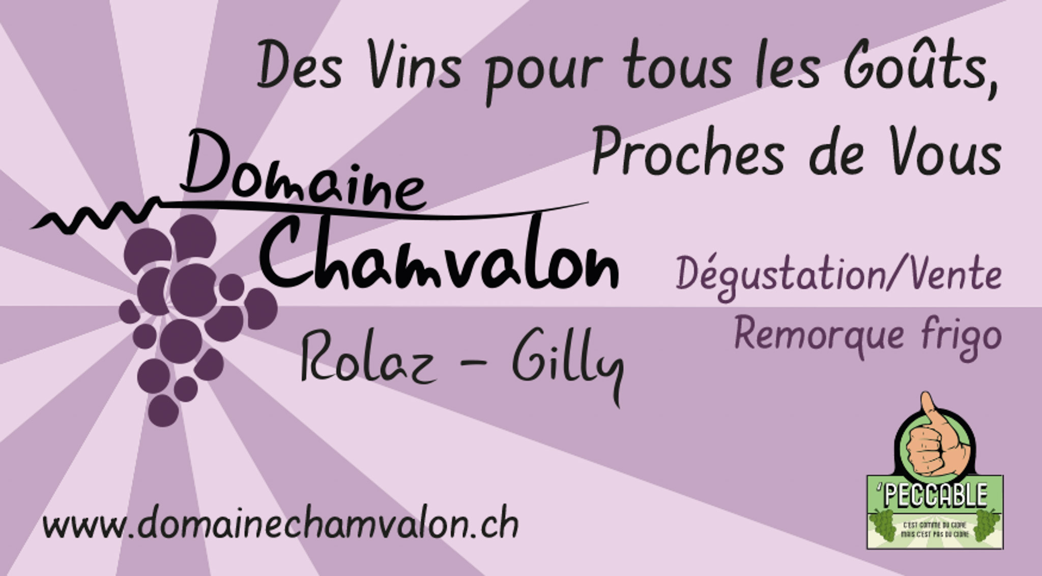 logo sponsor argent Domaine Chamvalon