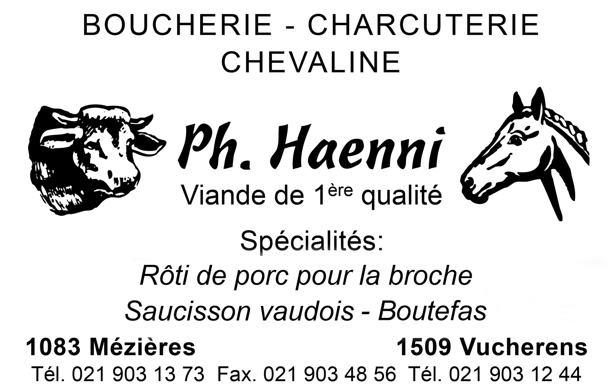 logo sponsor platine Haenni