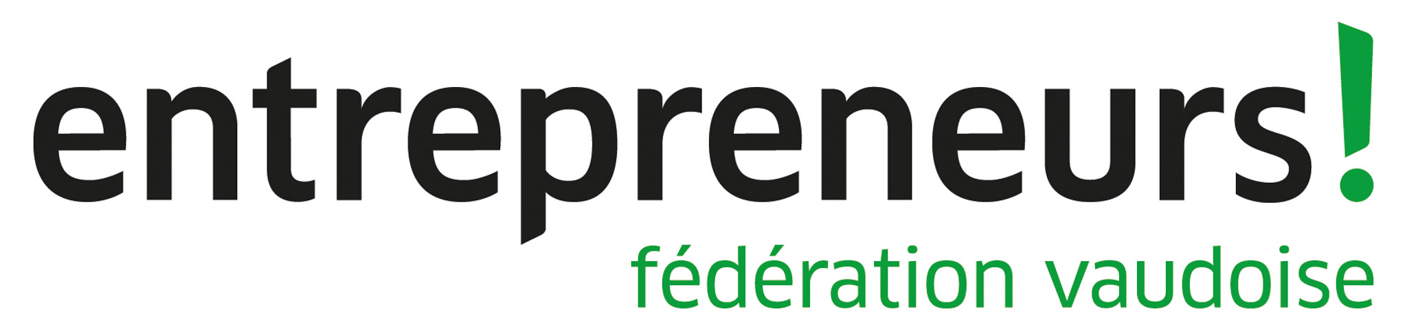 logo du sponsor FVE