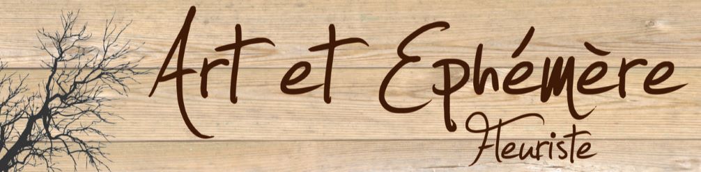 Logo Art et Ephémère
