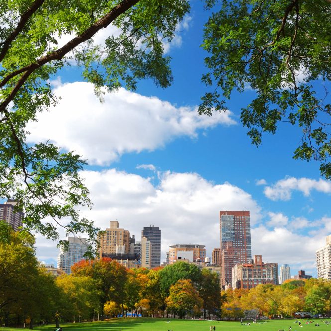 New York City Central Park New York City Manhattan skyline panorama vu de Central Park avec nuage et ciel bleu et les gens dans la pelouse.